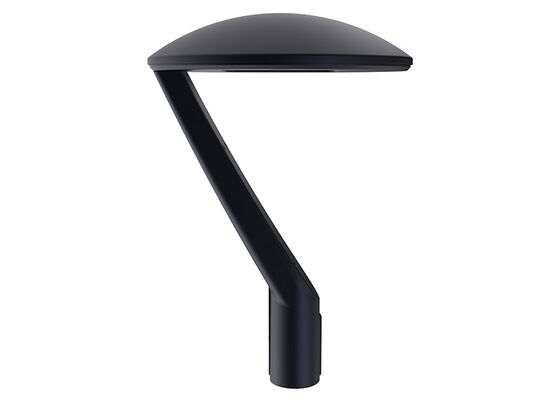 ENEC CB RETILAP SAA SABER CE RoHS Certified 50W CROWN GEN3 LED Street Light DALI Urban Street Light Garden Light INMETRO IP66 Outdoor Tool-free Opening Design